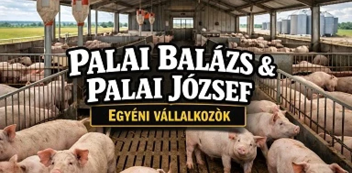 Közlemény