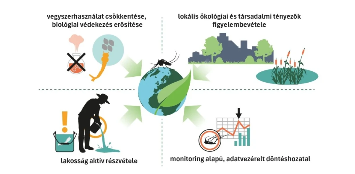Szúnyoggyérítés ökológiai alapokon