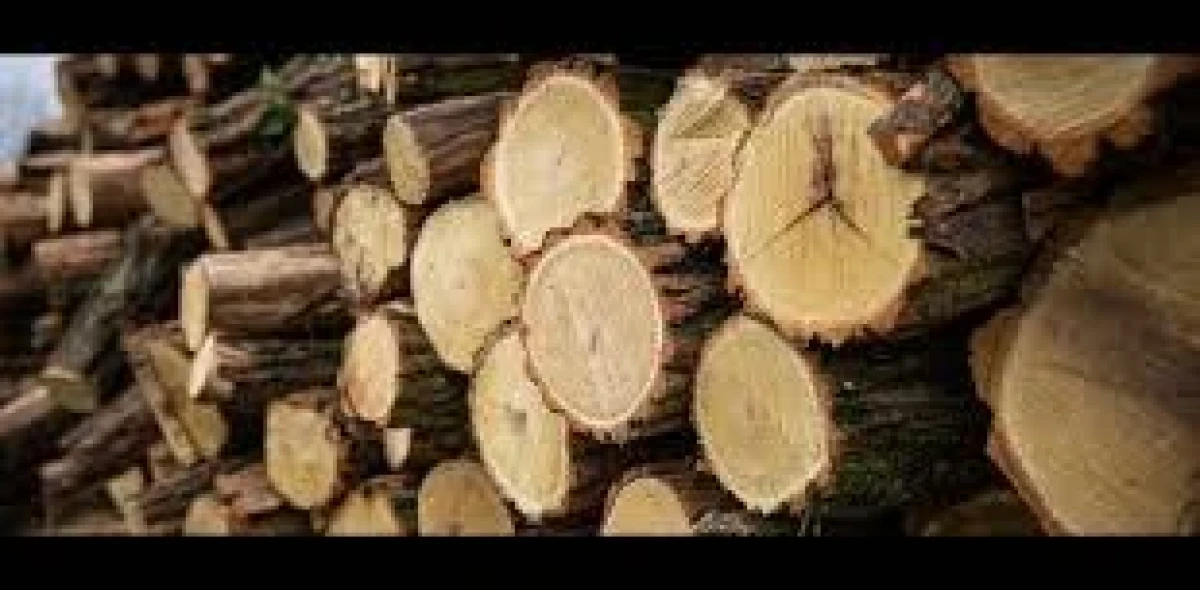 Tájékoztatás a rendkívüli időjárási viszonyok kezelése érdekében történő tüzifa elosztásáról